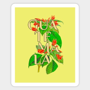 Guatemala Vintage Botanical Illustration Magnet